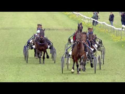 Fehraltorf/17.04.2017/AQUI - Preis der Eurodrink AG, Effretikon