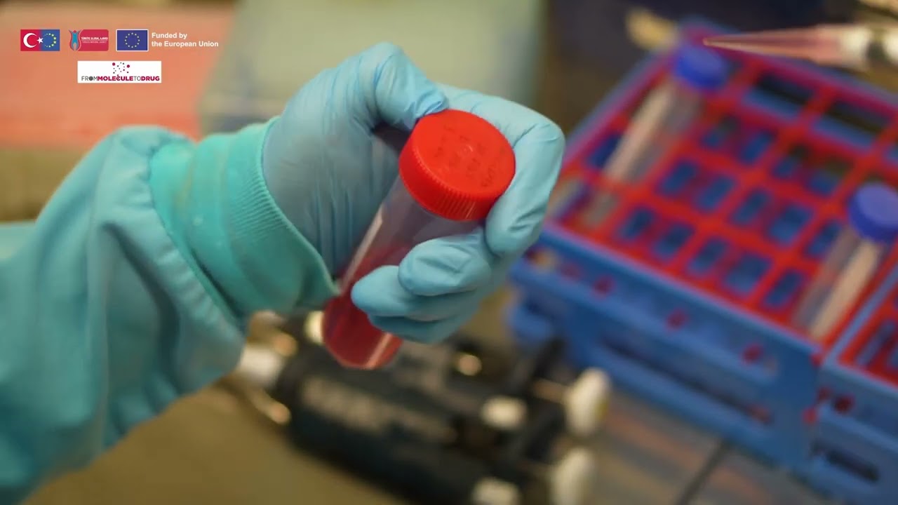 1.Assay: Cell Proliferation Analysis with Xcelligence Analysis