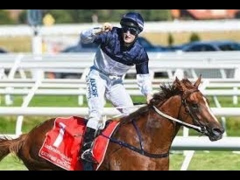 2016 MRC Blue Diamond Stakes