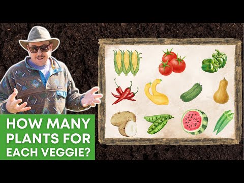 Exactly How Much to Plant for a Family Garden