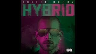 Collie Buddz - Time Flies (feat. Russ)