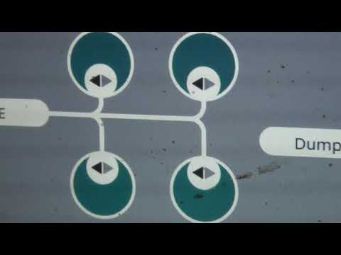 Ordeñe robotizado en Lomas (Rocha)