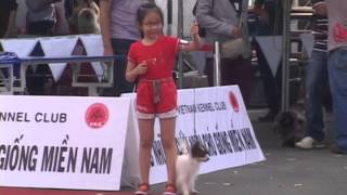 Dogshow lần 1 của CLB SVKC 1 (6/4/2014)