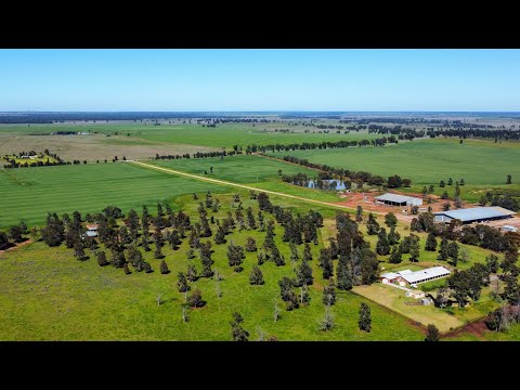 Glenfyne Farms, Narrandera NSW