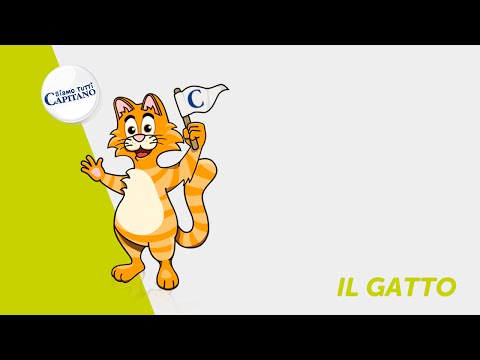 Siamo tutti Capitano - Il Gatto