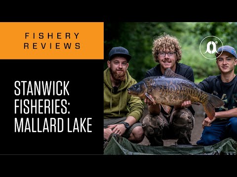 CARPologyTV | CARPology On Tour: British Open Access Venues | Stanwick Lakes, Mallard Lake