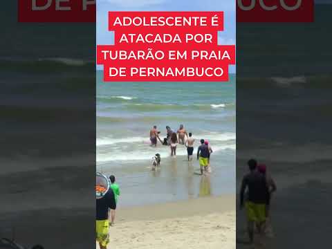 Adolescente é atacada por tubarão na Grande Recife, no 2º caso em dois dias