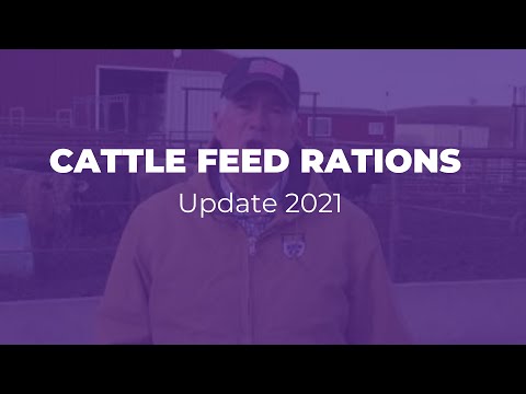 Cattle Feed Rations Update 2021