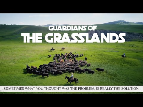 Guardians of the Grasslands