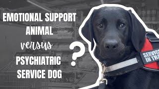 Emotional Support Dog vs Service Dog (US laws)