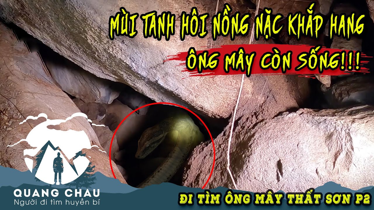 Đã tìm thấy Hang Ổ của ông Mây vì ngửi được mùi Tanh Hôi rất Nồng Nặc | Hang Rắn Molrut P1
