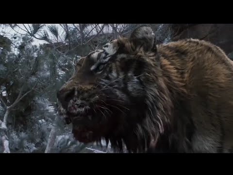 🐯 Tiger king 👑 || i'm rider || Imran Khan song satisfya || USE HEADPHONES 🎧