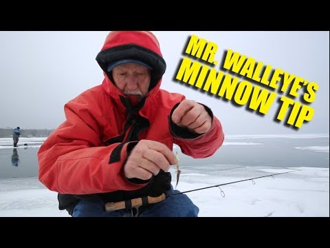 Mr. Walleyes Secret for keeping minnows on longer - Gary Roach