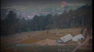 Download lagu 🔵OJO GOBLOK MENCINTA ~Happy Asmara cover by: Musisi Ngawi mp3