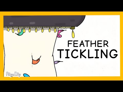 Feather Tickling Tickle Animation