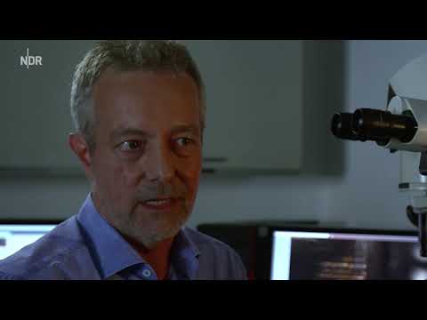 Morddeutschland: Die Schmugglerin Doku (2018)