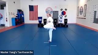 Live Class - White Belt - 4.20.20 @ 4:30 pm