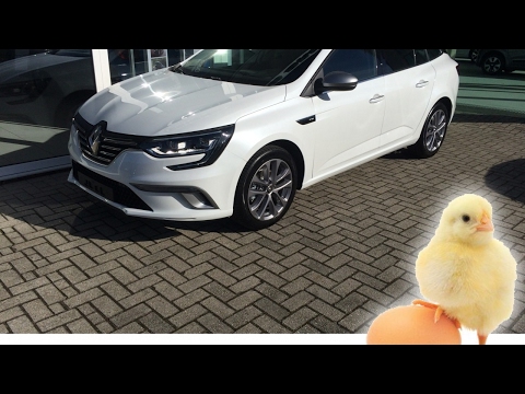 Renault Mégane Estate 130pk TCe GT-Line | Schuifdak | 8,7 inch scherm met Bose | Parelmoer lak | Sp