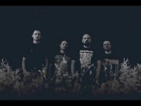 FETO IN FETUS - Collection Of Dead Heads (2013)