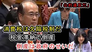 【国会激震】「消費税は欠陥税制だ」倒産急増の裏にある政府の失敗を参政党・安藤裕が痛烈批判！