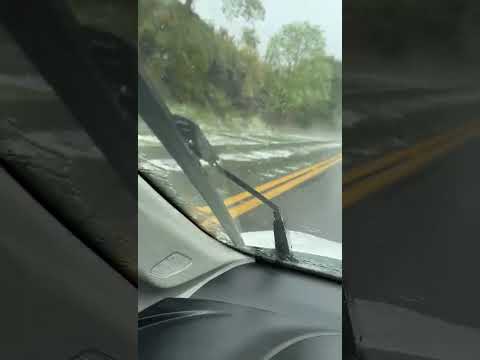 4 de novembro de 2025