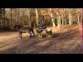 New Forest polyvalents Attelage -CSO