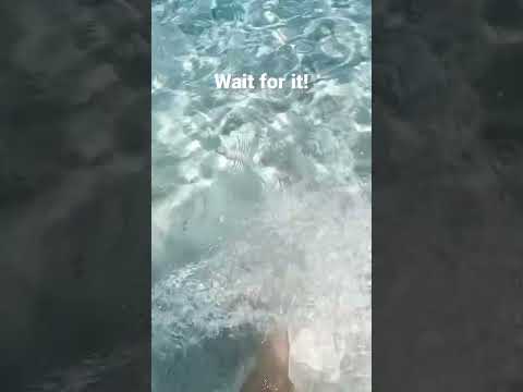 Der schönste Strand Europas?! Der Strand Cala Pira auf Sardinien ist die Karibik von Europa #urlaub