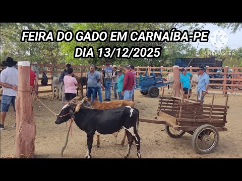 Feira do Gado de Carnaíba-PE dia 13/12/25