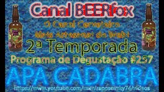 Vídeo