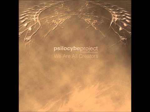 Psilocybe Project vs Suria - The Right Choice