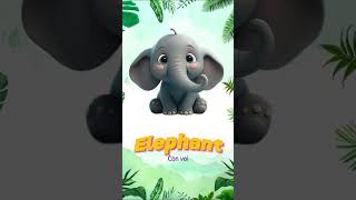 Từ vựng về Con vật (Phần 2) | Bé học tiếng anh | Tiếng anh cho trẻ  #englishforkids #tienganhchobe 