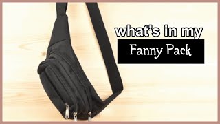My Fanny Pack EDC  ! What’s in it ? | Minimalist Series