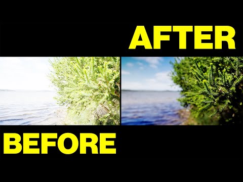 PolarPro Peter McKinnon Variable ND Edition II: DO YOU NEED A VARIABLE ND FILTER?