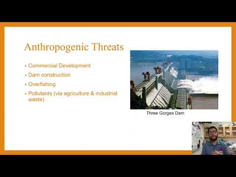 Unit 8, Topic 4, Human Impacts on Wetlands and Mangroves