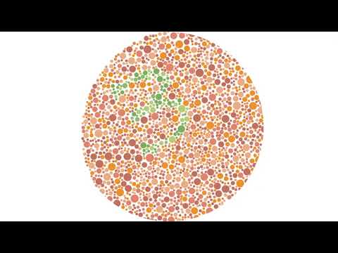 Dorothy`s Dream - C`hai Creduto Eh? [RUM08]