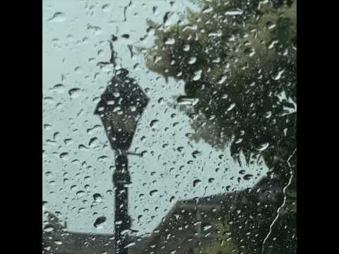 Harmonium - Seuls ensemble - Si bien - Serge Fiori