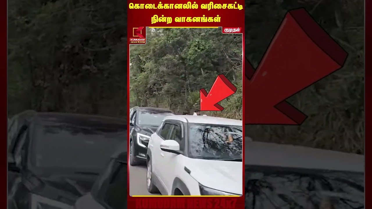 கொடைக்கானலில் வரிசைகட்டி நின்ற வாகனங்கள் | Kodaikkanal Traffic Jam | Kumudam News
