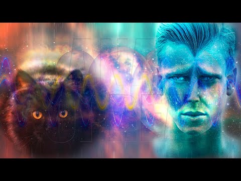 105-RO S., Karma non-umanilor. Frecvente toxice. Portaluri interdimensionale - Hipnoza Ana Oprea