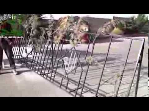 توثيق أحد حواجز كتيبة عمر بن الخطاب التابعة لألوية وكتائب الصحابة في منطقة القلمون في ريف دمشق