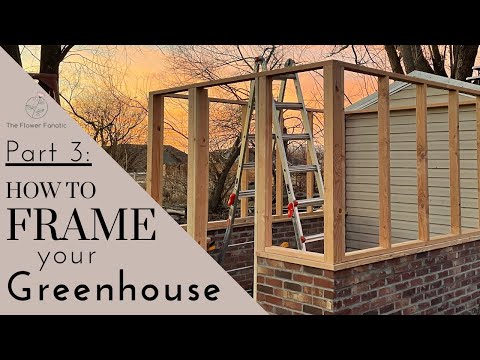 Greenhouse Build Part 3: Framing and Staining your Greenhouse // TheFlowerFanatic