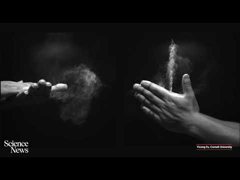 The physics behind the sound of clapping | Science News