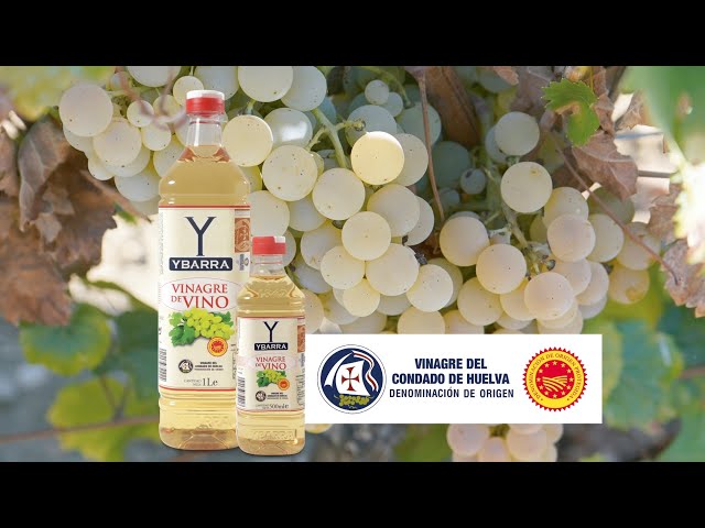 Vídeo relacionado con Vinagre de vino Colavita - Vinegar blanco envejecido, 17 Fl Oz