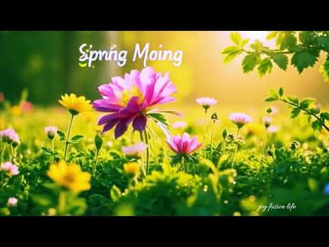 Amazing Colors of Spring |  Nature Relaxation Film by Joy #SpringColors #NatureRelaxation #4KNature