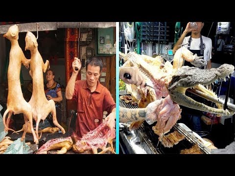 LES PLATS LES PLUS BIZARRES QUE L'ON MANGE EN ASIE !