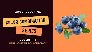 COLOR COMBINATION SERIES: BLUEBERRY- Faber-Castell polychromos - Adult coloring