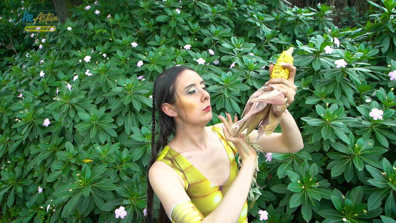 Proyecto ganador - Reactiva la escena "Zea Mays"