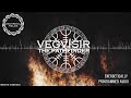 Vegvísir - The Pathfinder / Energetically Programmed Audio / Maitreya Reiki™