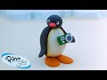 Pingu And The Camera Pingu Official Channel Cartoons For Kids
