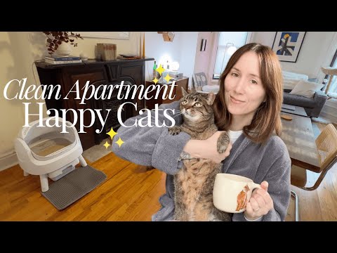 How I Keep My Small Apartment Clean With Two Cats