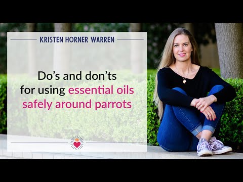 YouTube video about: Are essential oils safe for birds?
